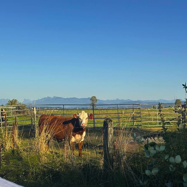 after summer ends cover