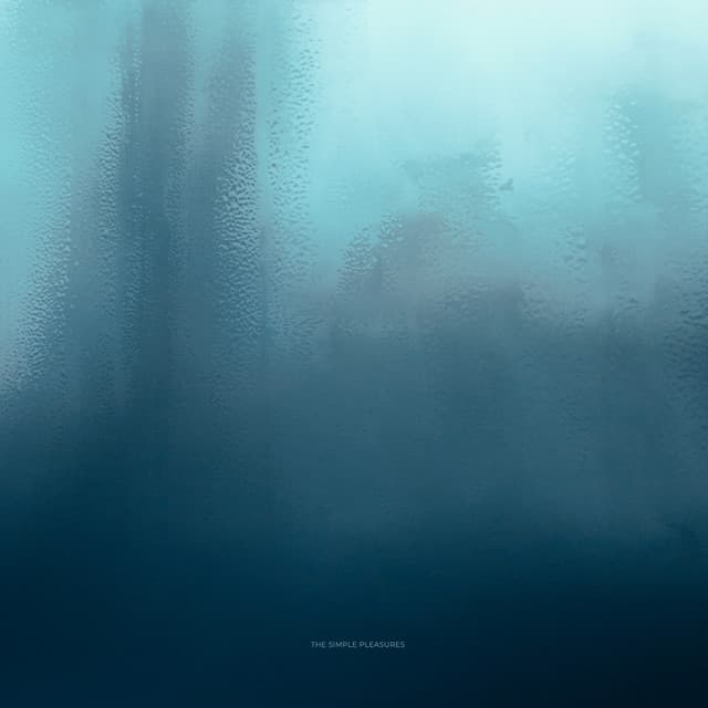 The Simple Pleasures cover